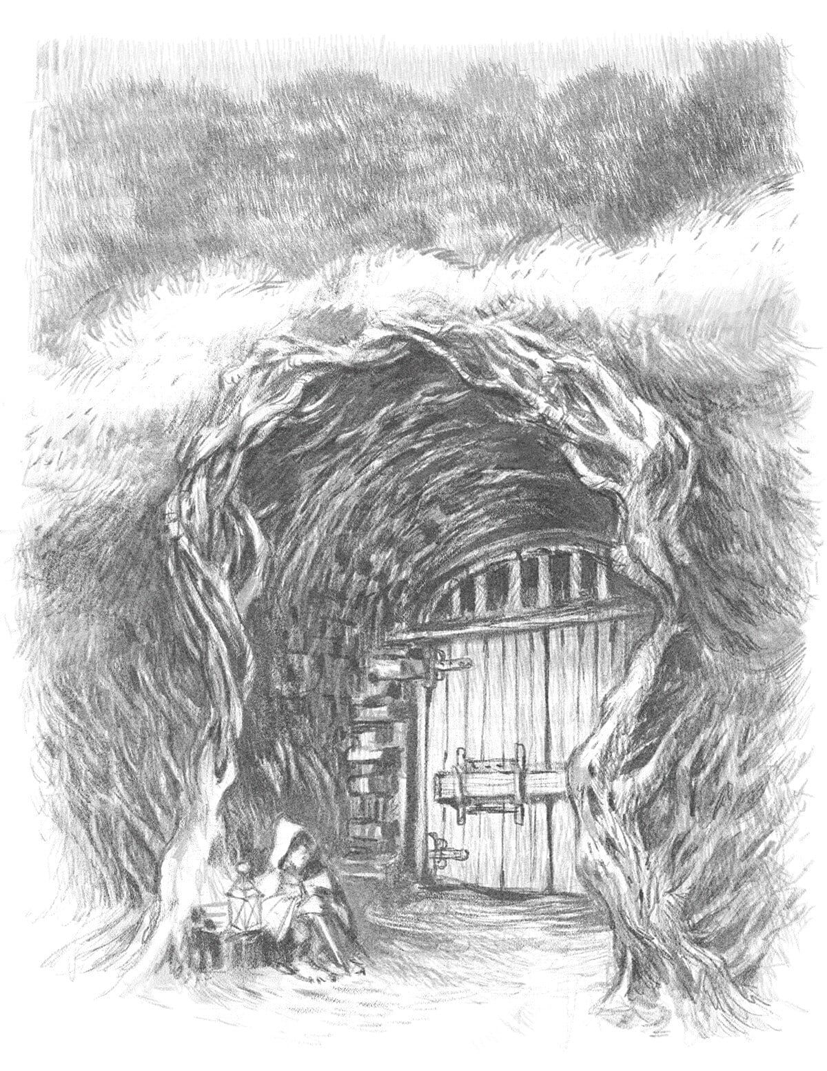 Lord of the Rings Roleplaying Core Book manuale GDR 5E Eriador