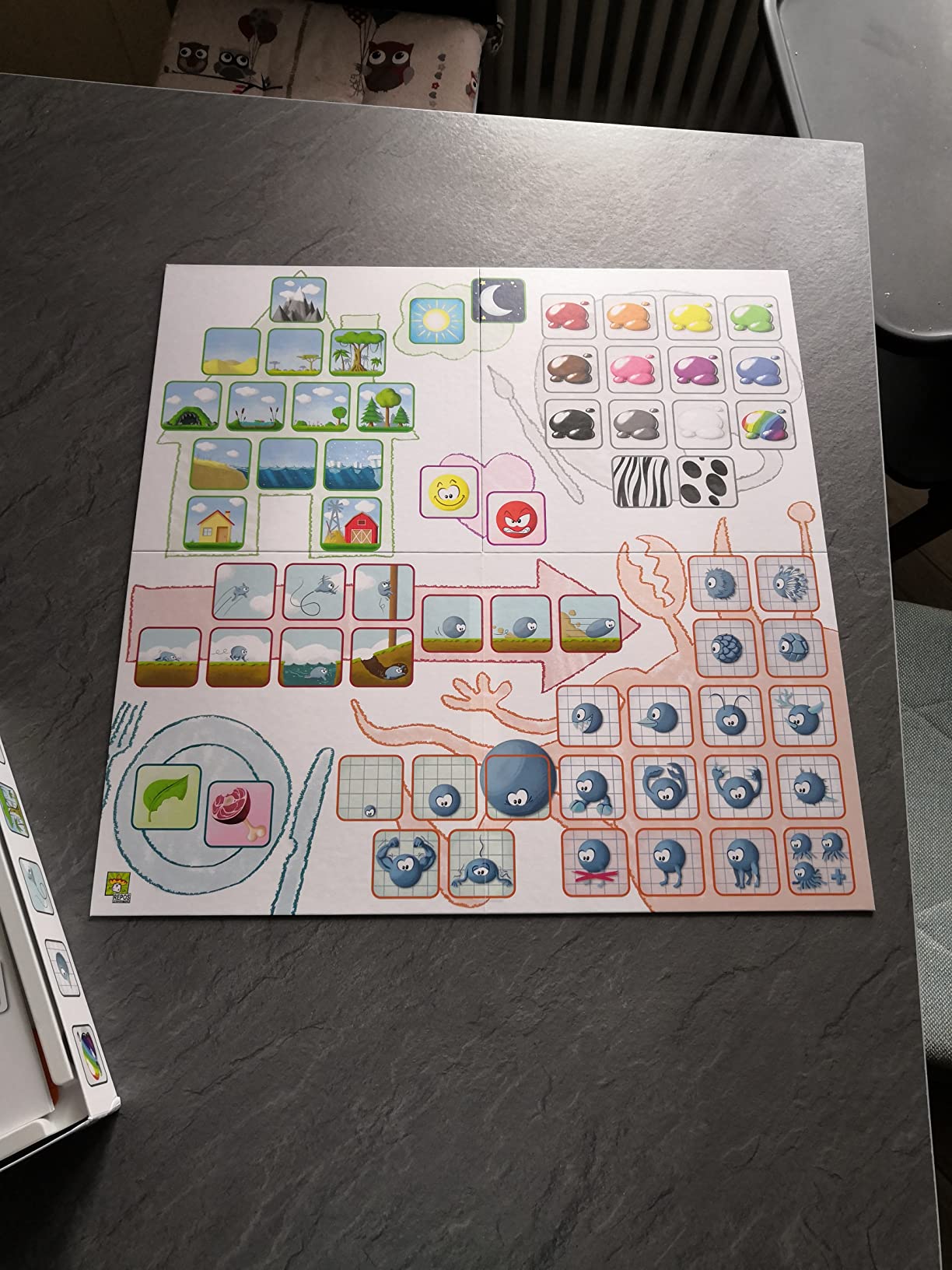 Asmodee Concept Kids Animali gioco bambini cooperativo 4+