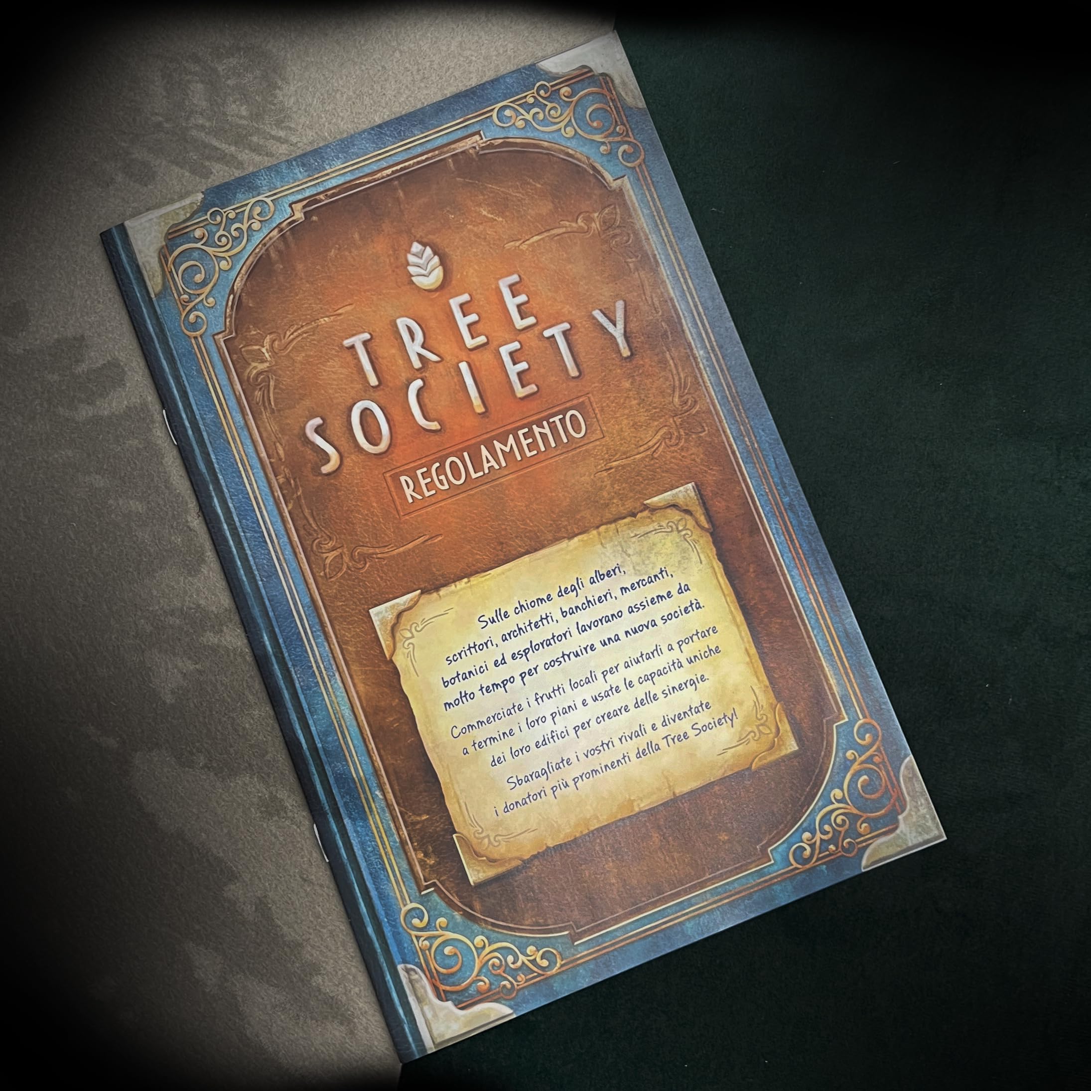 Asmodee Tree Society gioco da tavolo 2-4 giocatori edizione italiana