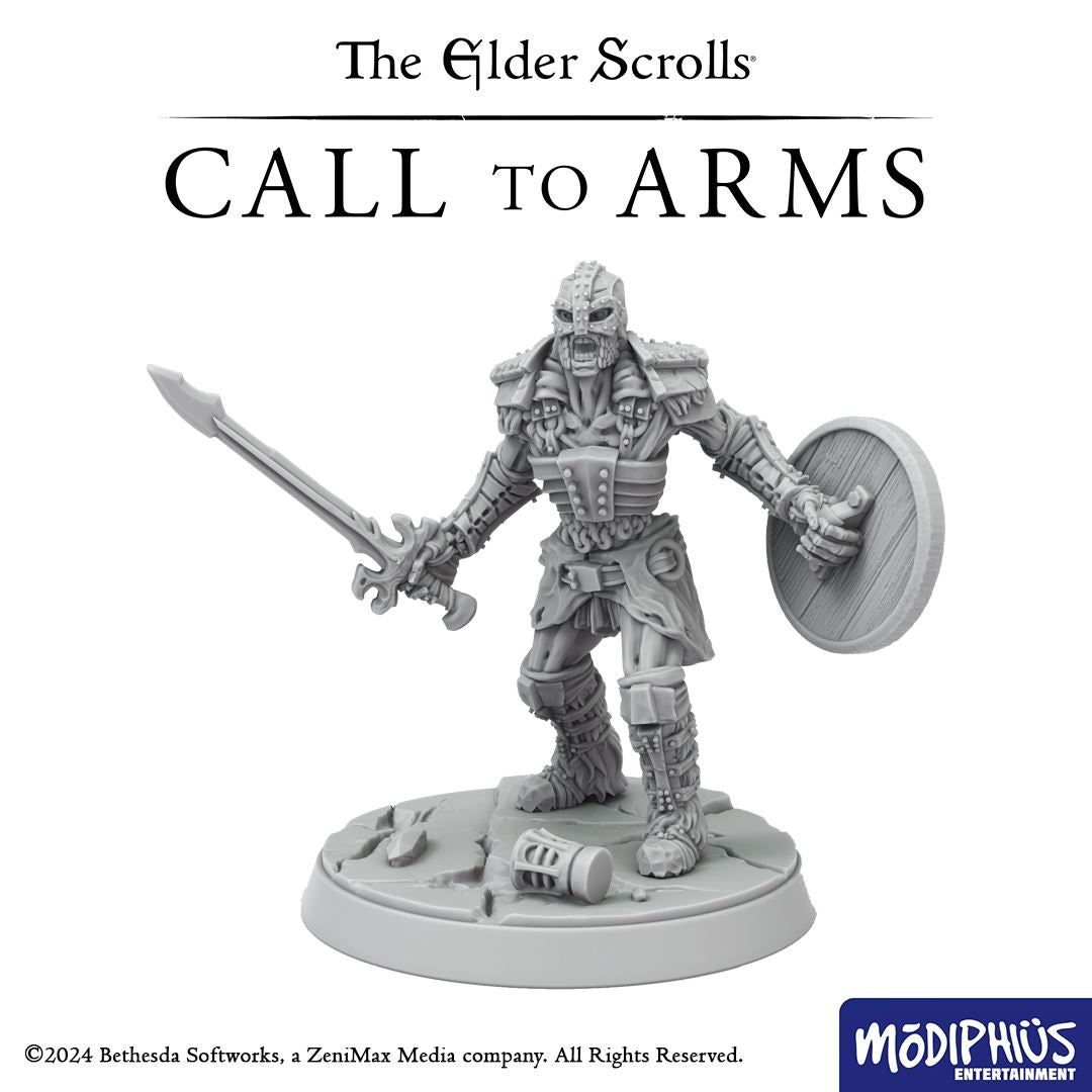 Modiphius Elder Scrolls Call to Arms Bleak Falls Barrow File STL 8 Miniature