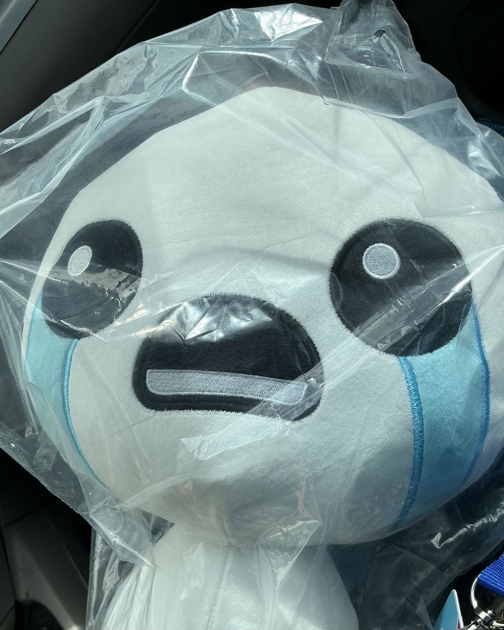 Maestro Media Binding of Isaac Lost peluche 30 cm