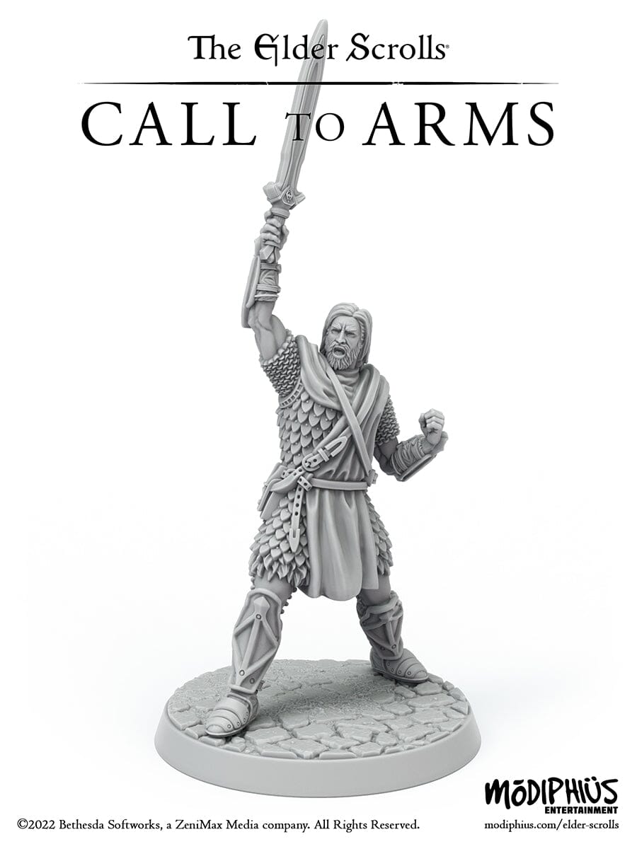 Modiphius Elder Scrolls Call to Arms Hold Guards STL 6 miniature