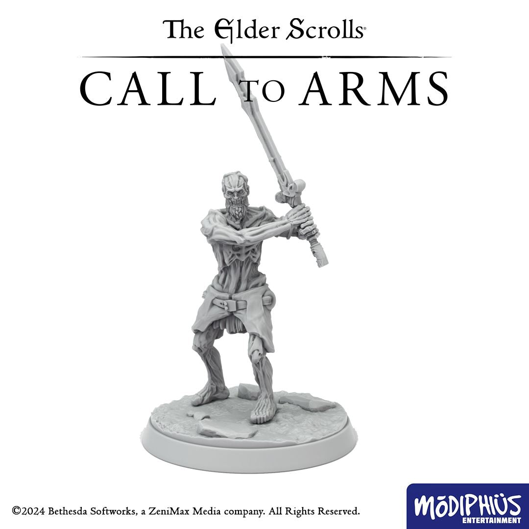 Modiphius Elder Scrolls Call to Arms Bleak Falls Barrow File STL 8 Miniature