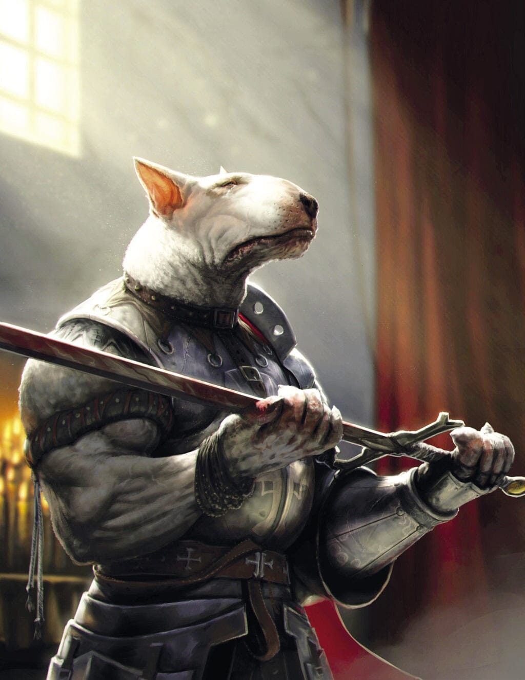 MANA Historia Corebook manuale PDF per D&D 5a Edizione
