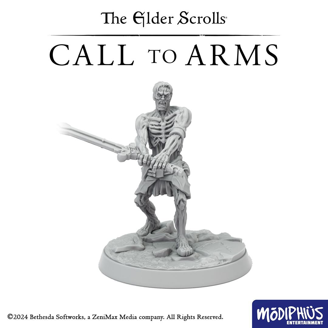 Modiphius Elder Scrolls Call to Arms Bleak Falls Barrow File STL 8 Miniature