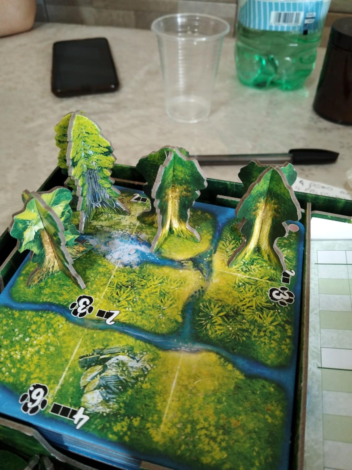 Asmodee Hutan gioco da tavolo foresta 1-4 giocatori