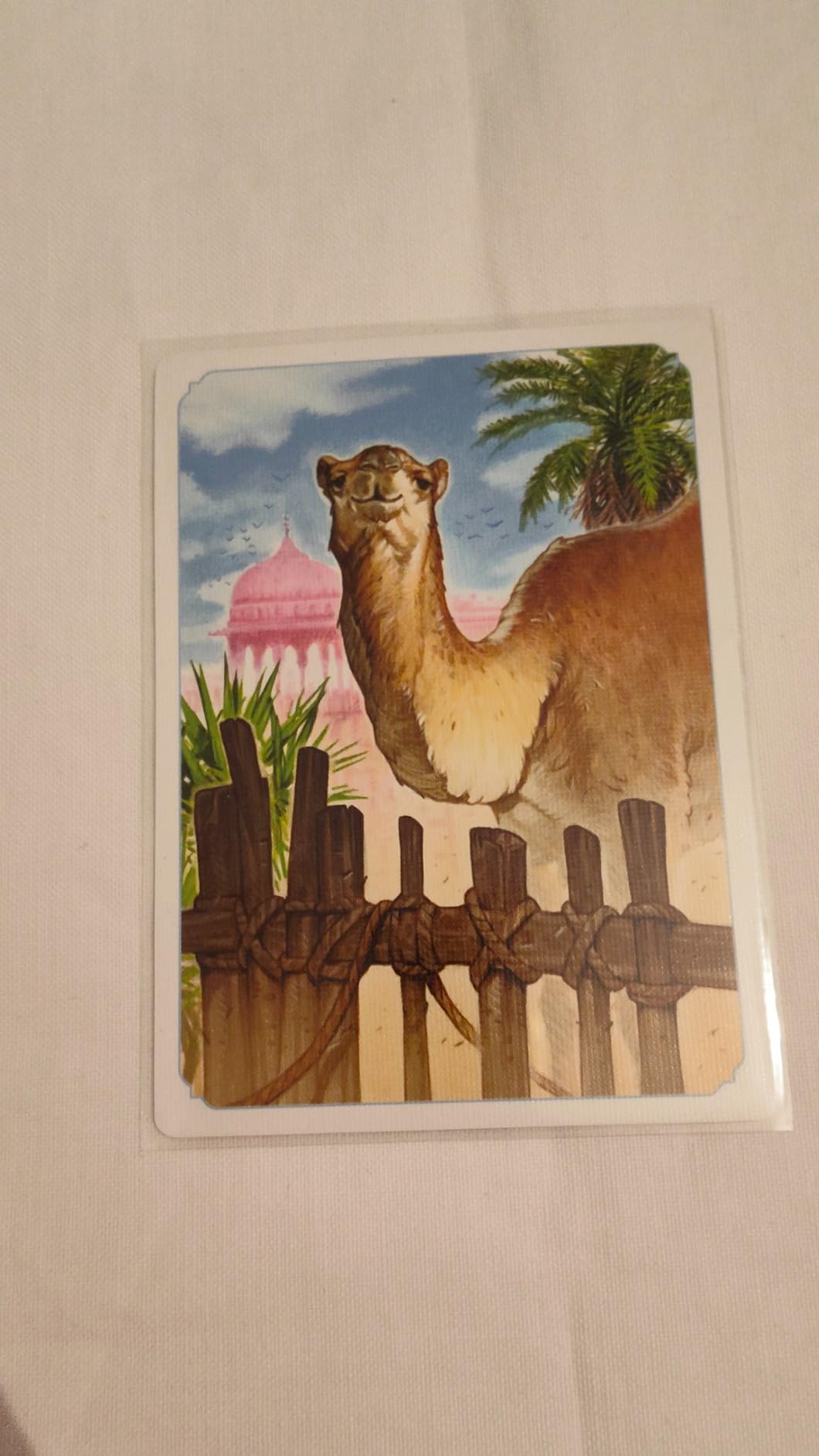 Asmodee Jaipur gioco tavolo strategia 2 giocatori edizione italiana