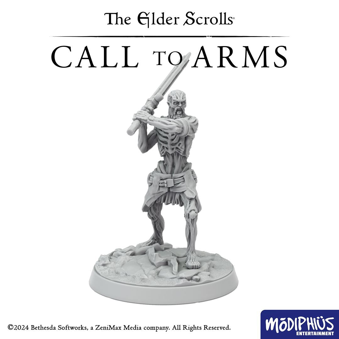 Modiphius Elder Scrolls Call to Arms Bleak Falls Barrow File STL 8 Miniature
