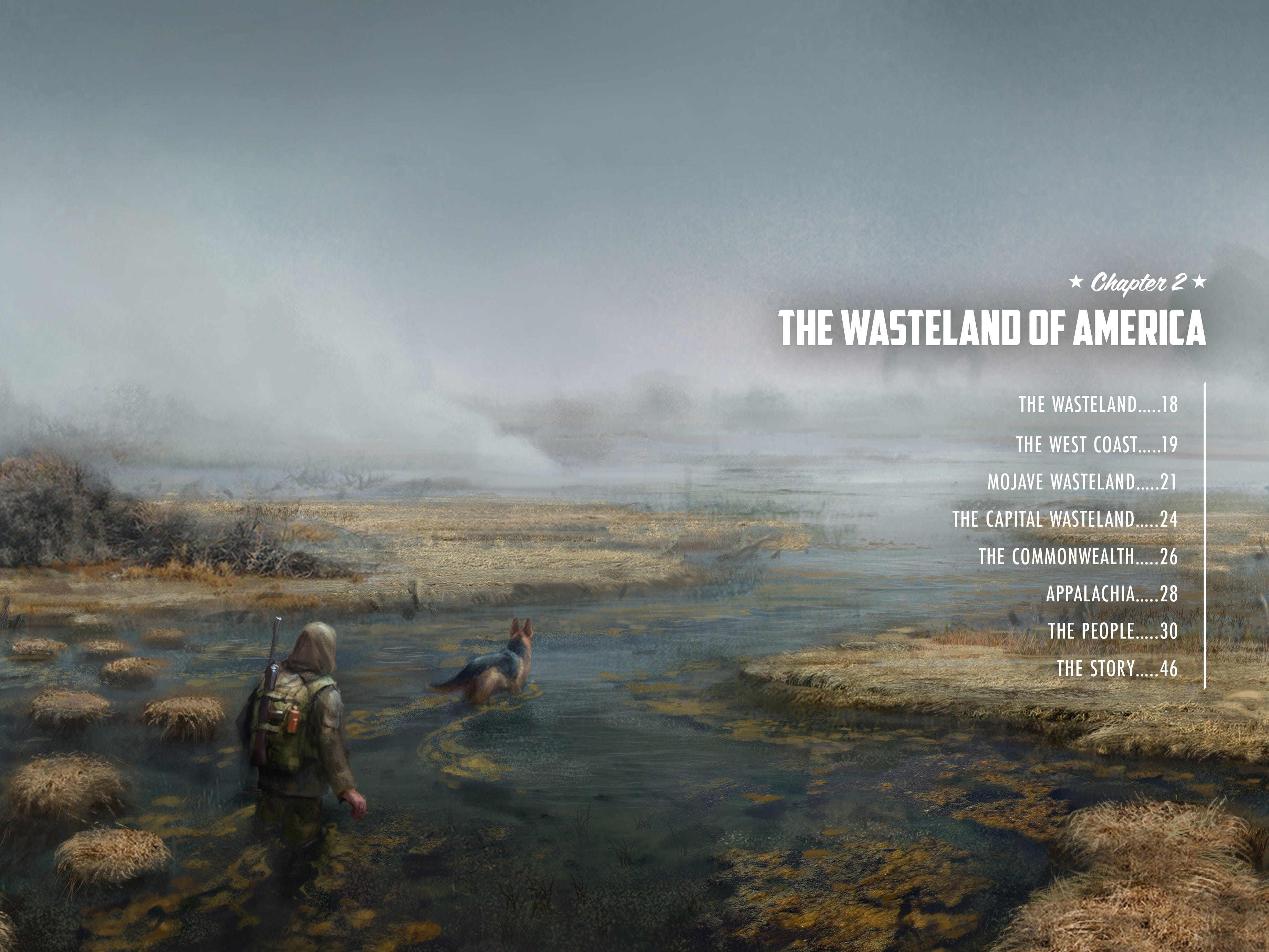 Fallout Wasteland Wanderer PDF gioco ruolo solo 256 pagine 2d20