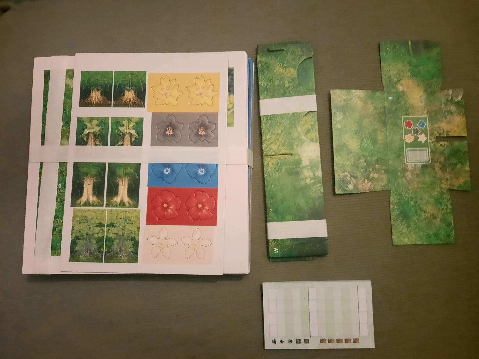 Asmodee Hutan gioco da tavolo foresta 1-4 giocatori