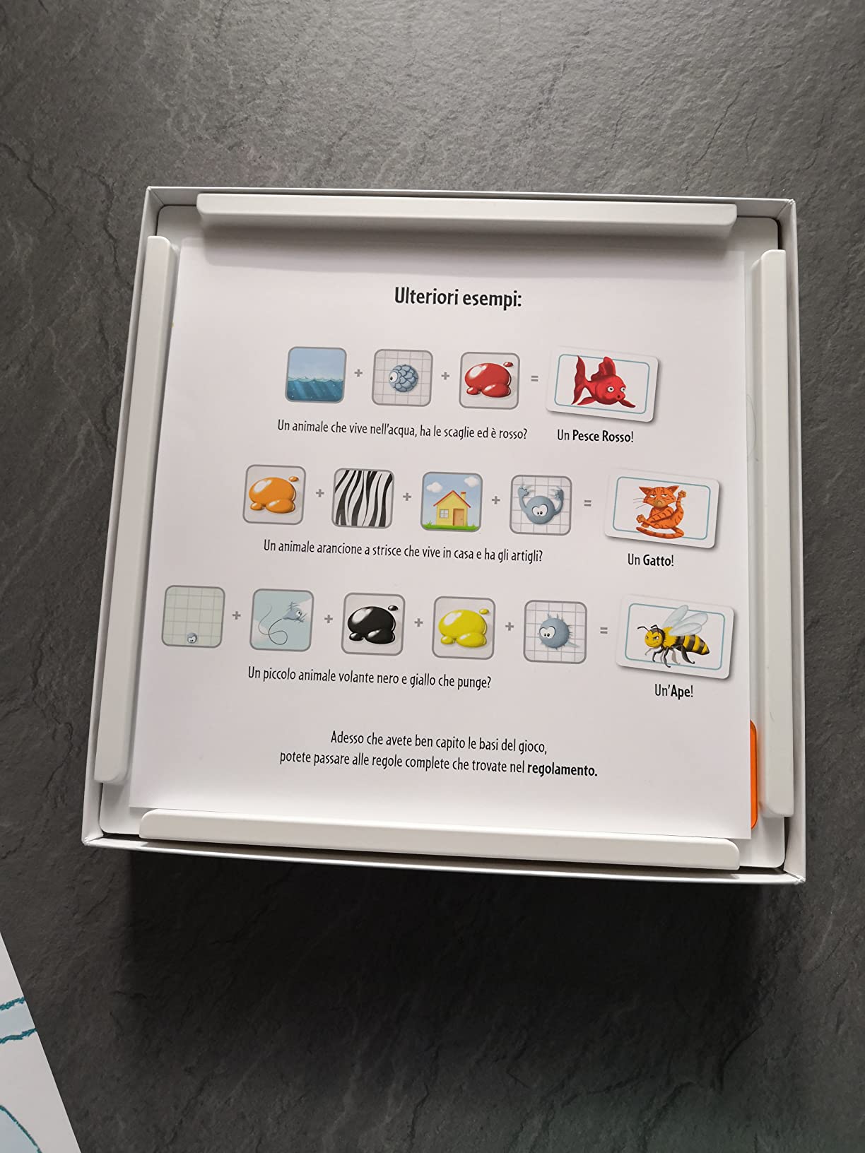 Asmodee Concept Kids Animali gioco bambini cooperativo 4+
