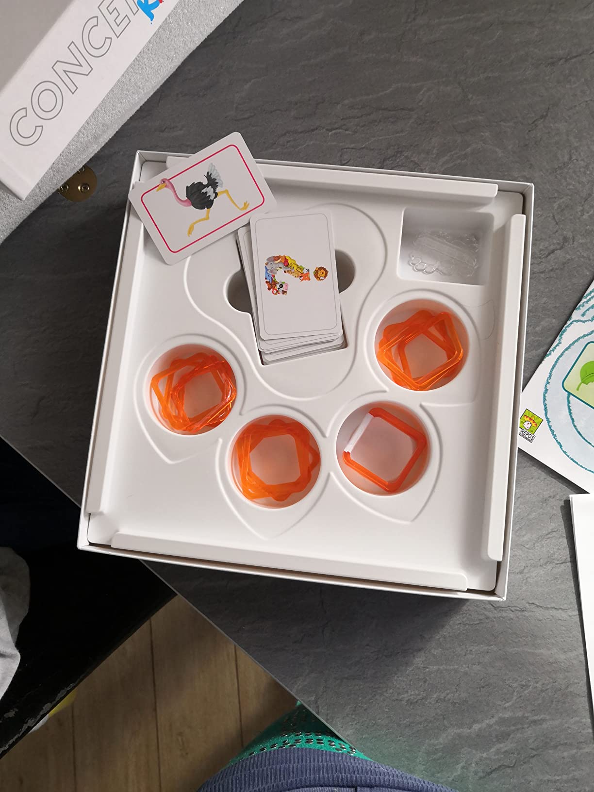 Asmodee Concept Kids Animali gioco bambini cooperativo 4+