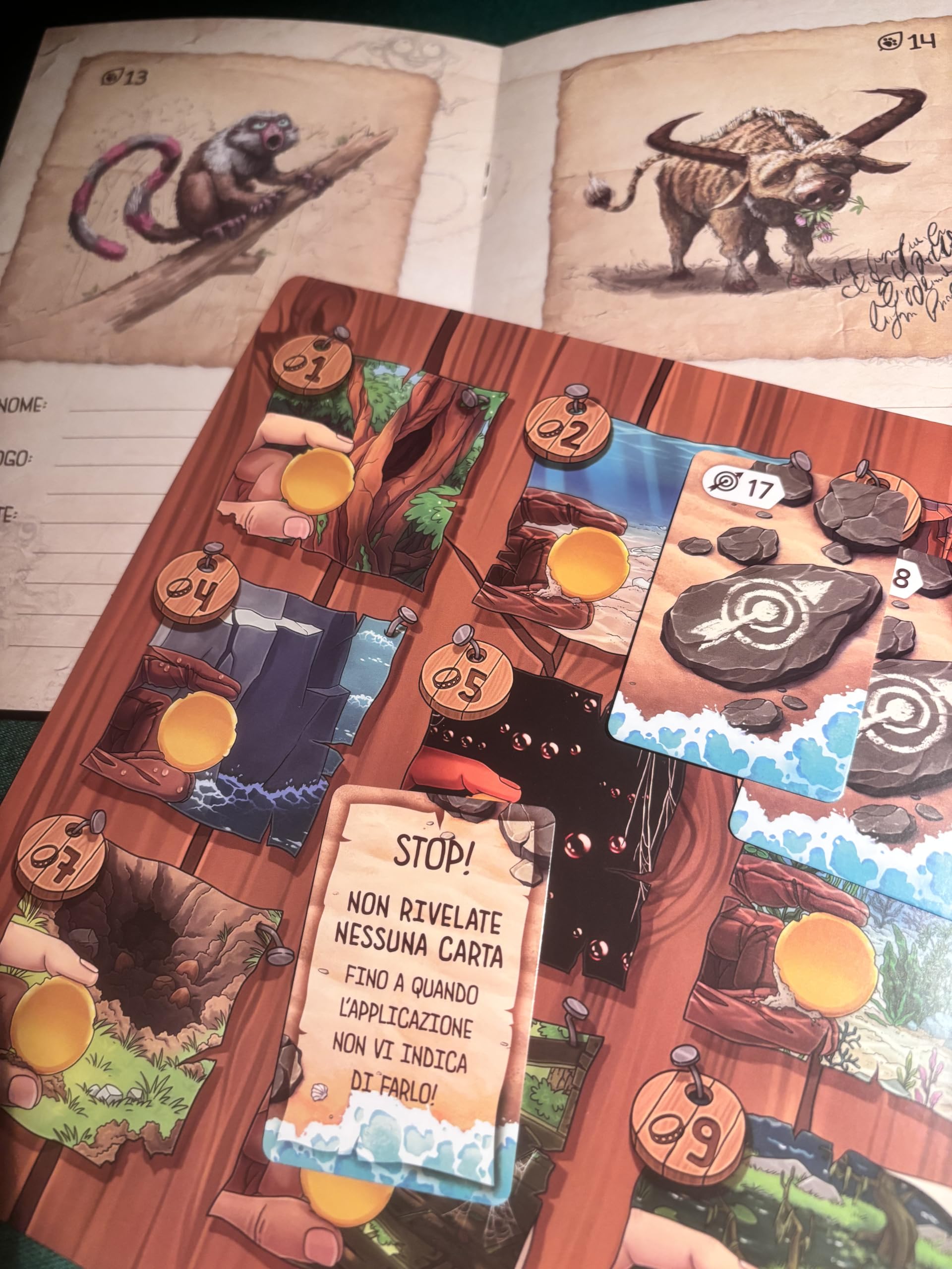 Asmodee Toriki L'Isola dei Naufraghi gioco tavolo cooperativo 1-4