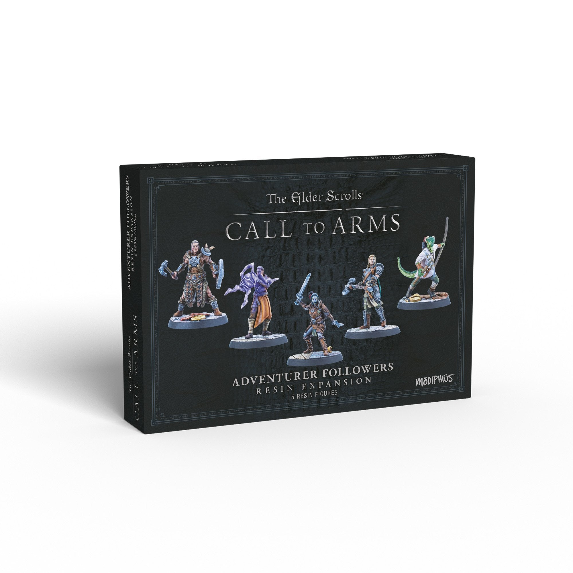 Elder Scrolls Call to Arms Adventurer Followers 5 miniature